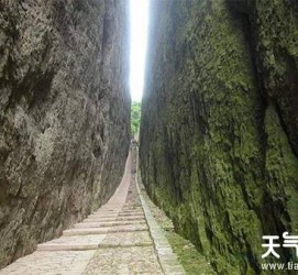大丰中国伴游网热门景点(搭伴旅游网)