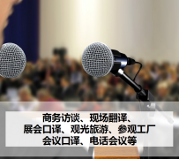 大丰上海商务伴游 上海好乐迪商务翻译咨询有限公司