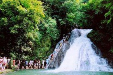 大丰旅遊(旅游攻略)
