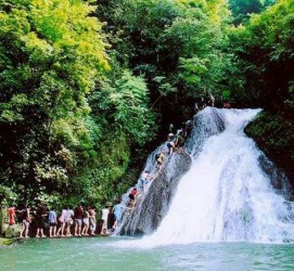 大丰旅遊(旅游攻略)
