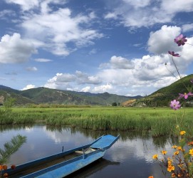 大丰旅游游记(旅游游记怎么写)