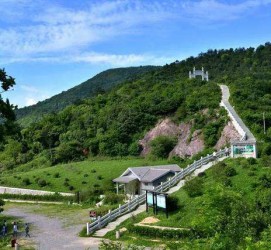 大丰休闲游(休闲旅游的含义及特点)