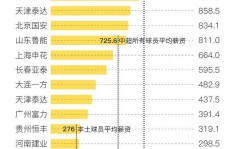 大丰关于伴游小丽中国足球的信息