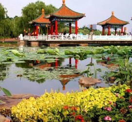 大丰长春旅游攻略(长春旅游攻略必去景点地图)