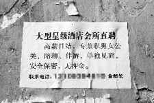 大丰珠海伴游雇用网(珠海游览社雇用信息)