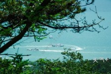 大丰中国伴游网与你分享旅游的点滴(中国伴游网与你分享旅游的点滴是什么)