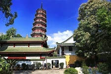 大丰广州自由行(广州 自由行)
