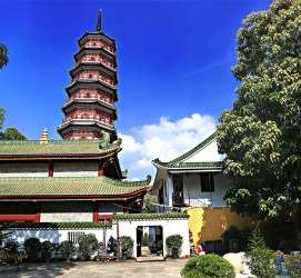 大丰广州自由行(广州 自由行)