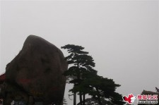 大丰上海伴游私家陪游雇用女模(上海伴游私家陪游雇用女模特)
