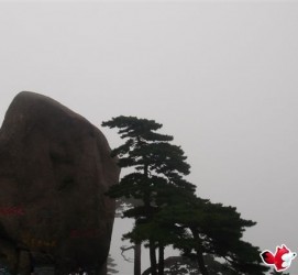 大丰上海伴游私家陪游雇用女模(上海伴游私家陪游雇用女模特)
