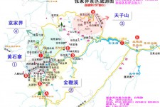 大丰旅游路线规划(旅游路线规划软件)