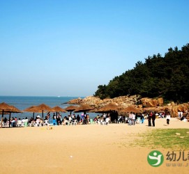 大丰旅游攻略网(旅游攻略网站哪个好)