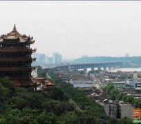 大丰武汉游玩攻略(武汉游玩攻略ppt)