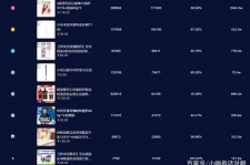 大丰伴游中国极速赛车节(各大赛车赛事)