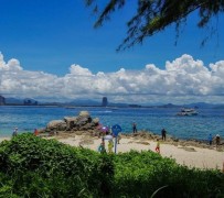 大丰自由行(自由行和跟团游哪个好)