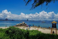 大丰自由行(自由行和跟团游哪个好)