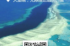 大丰中国250家旅行社结伴游新西兰(新西兰当地旅行社)