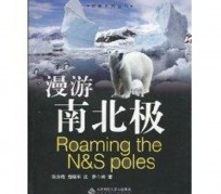 大丰游记攻略(ps西游记攻略)