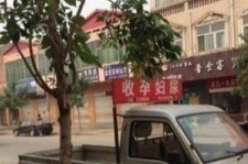 大丰上海伴游 用伴游造句大全(5