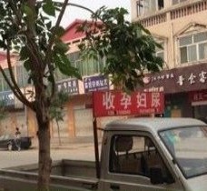大丰上海伴游 用伴游造句大全(5