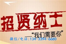 大丰酒店雇用伴游(酒店雇用伴游办事员)