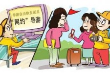 大丰伴游是什么