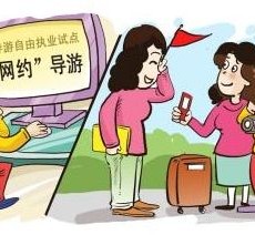 大丰伴游是什么