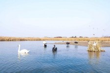大丰南昌附近伴游小妹兼职(1534939978姐的微信德惠市)