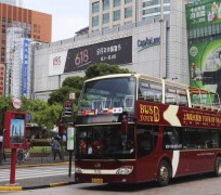大丰上海私人伴游 上海过年怎么玩？这些“微游”线路了解下→