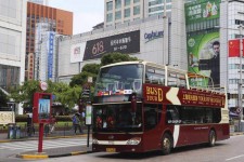 大丰上海私人伴游 上海过年怎么玩？这些“微游”线路了解下→