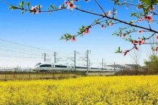 大丰高铁游(高铁游戏下载手机版)
