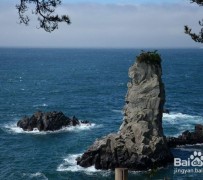 大丰旅游全攻略(上海旅游全攻略)