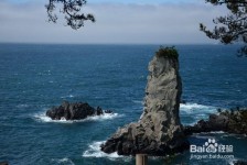 大丰旅游全攻略(上海旅游全攻略)