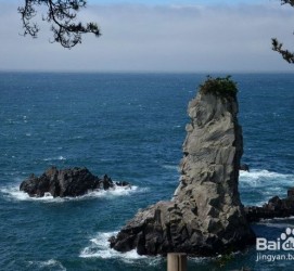 大丰旅游全攻略(上海旅游全攻略)