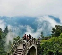 大丰二日游(二日游旅游攻略)