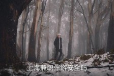 大丰上海私人伴游 上海伴游，上海兼职伴游安全吗