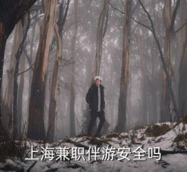 大丰上海私人伴游 上海伴游，上海兼职伴游安全吗