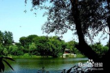 大丰西湖旅游攻略(上海到杭州西湖旅游攻略)