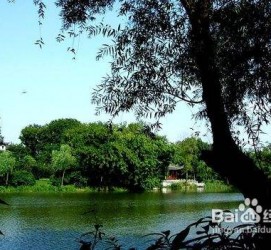 大丰西湖旅游攻略(上海到杭州西湖旅游攻略)