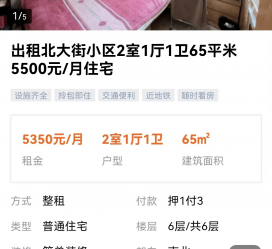 大丰私人伴游是什么 “过年租友”陷阱：骗财与色情服务