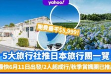 大丰旅游价格(旅游价格机制)