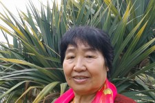 大丰白叟带老伴游半个中国(白叟外出旅游)