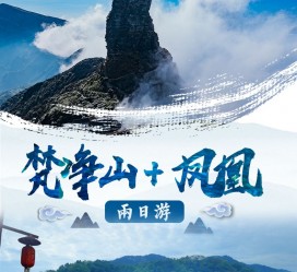大丰两日游推荐(二日游最佳景点)