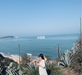 大丰厦门周边游(厦门及周边旅游攻略)
