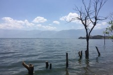 大丰洱海旅游攻略(洱海旅游攻略自由行)