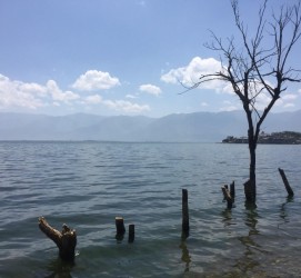 大丰洱海旅游攻略(洱海旅游攻略自由行)