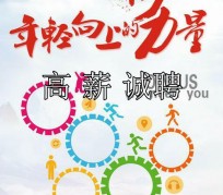 大丰商务伴游招聘 全国伴游招聘高档会所直招/公关模特佳丽名媛一单一结(今日招聘)