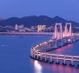 大丰景点(景点排名)