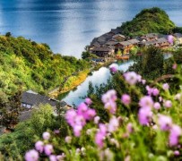 大丰旅遊(旅游景点)