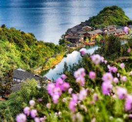 大丰旅遊(旅游景点)